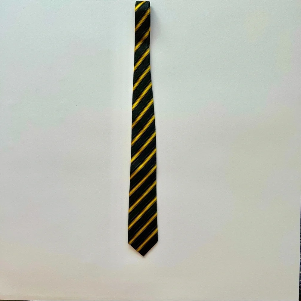 Striped black and gold men's dressy tie